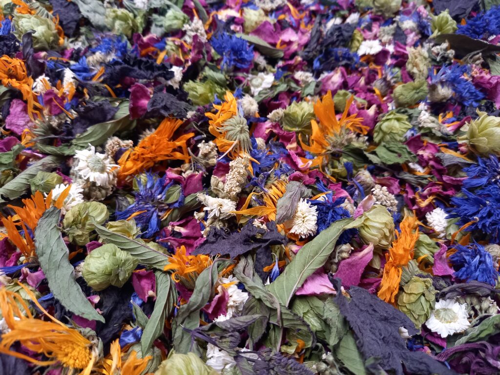 mélange de fleurs produites sur la ferme